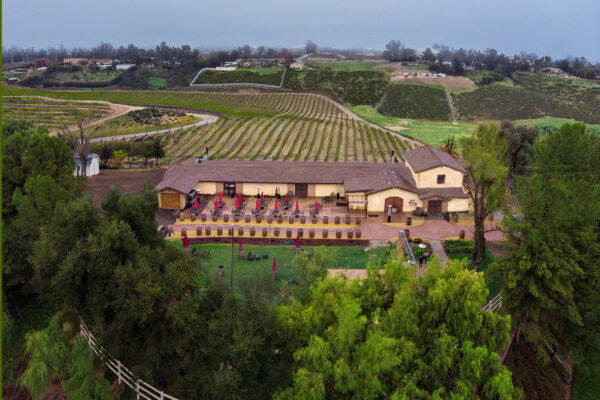 san diego wine tours to temecula