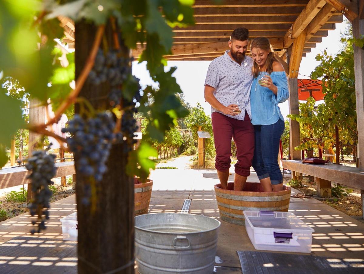 Grape Stomping Temecula