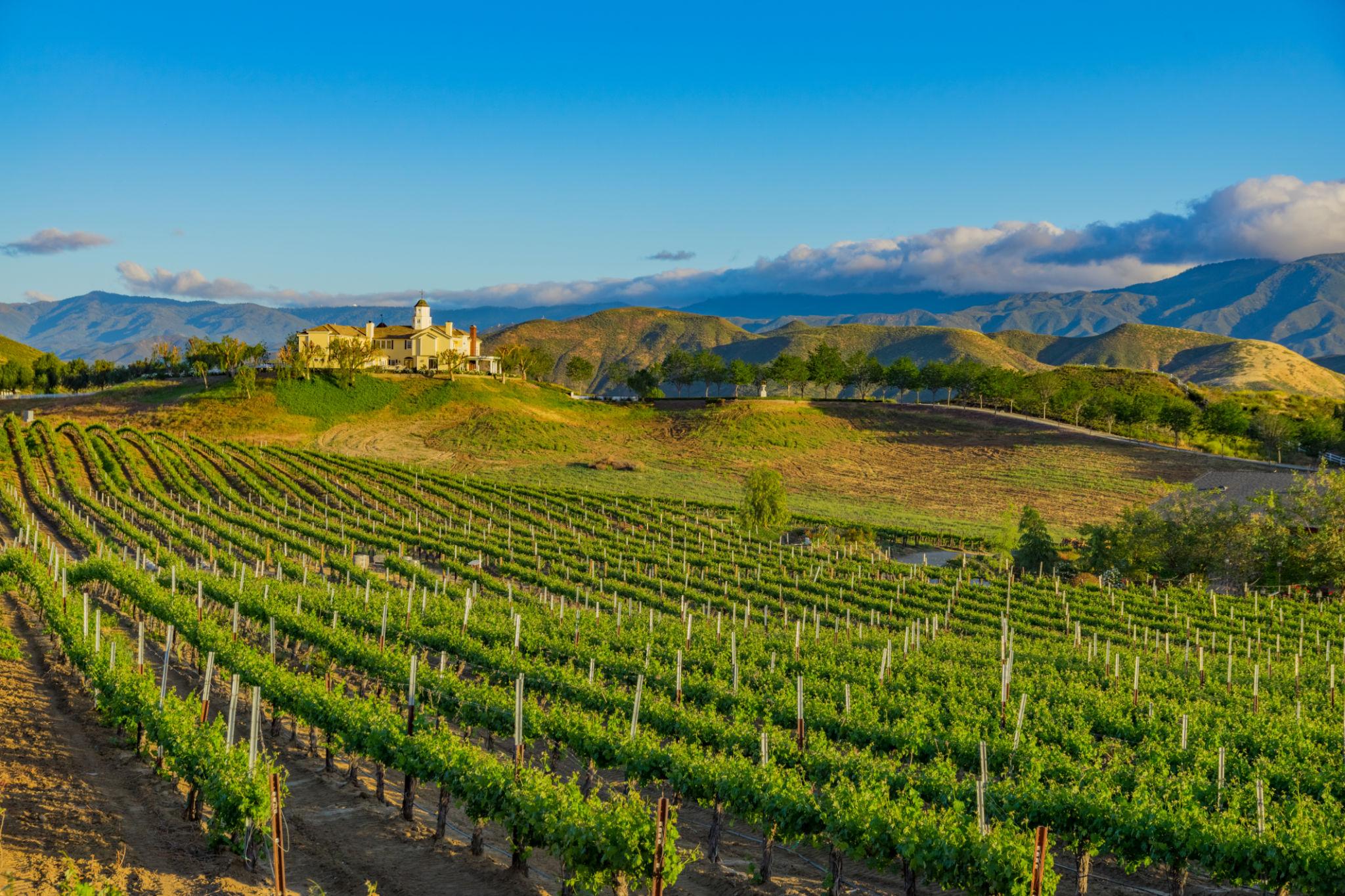 Spring Wine Tasting Tours in Temecula California